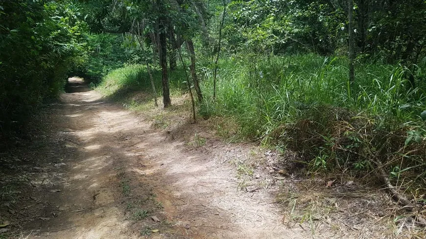 Foto 1 de Fazenda/Sítio com 4 Quartos à venda, 30000m² em , Brasília