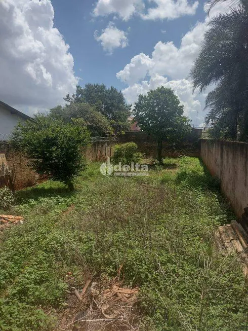 Foto 1 de Lote/Terreno à venda, 300m² em Jaraguá, Uberlândia