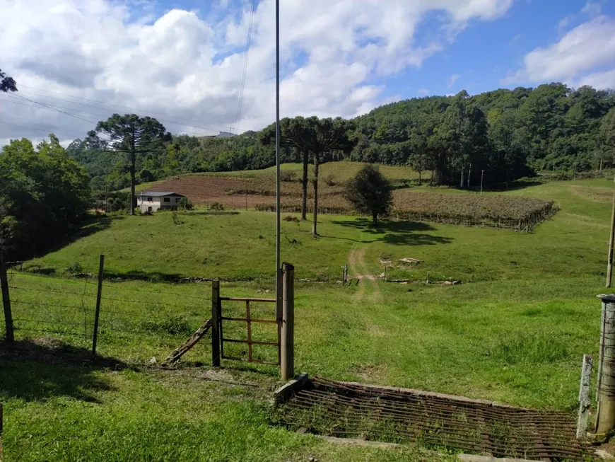 Foto 1 de Lote/Terreno à venda, 24852m² em São Giácomo, Caxias do Sul