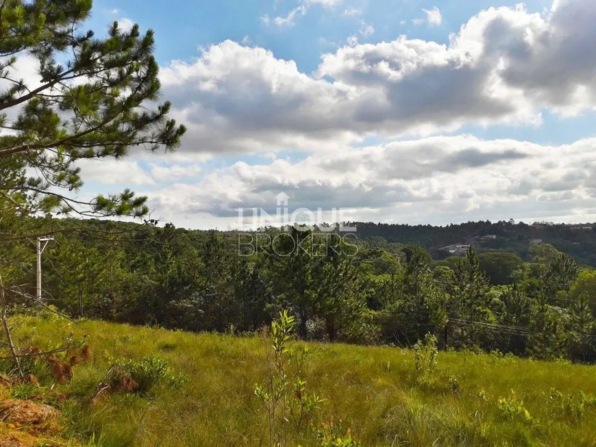 Foto 1 de Lote/Terreno à venda, 2419m² em Maracanã, Jarinu