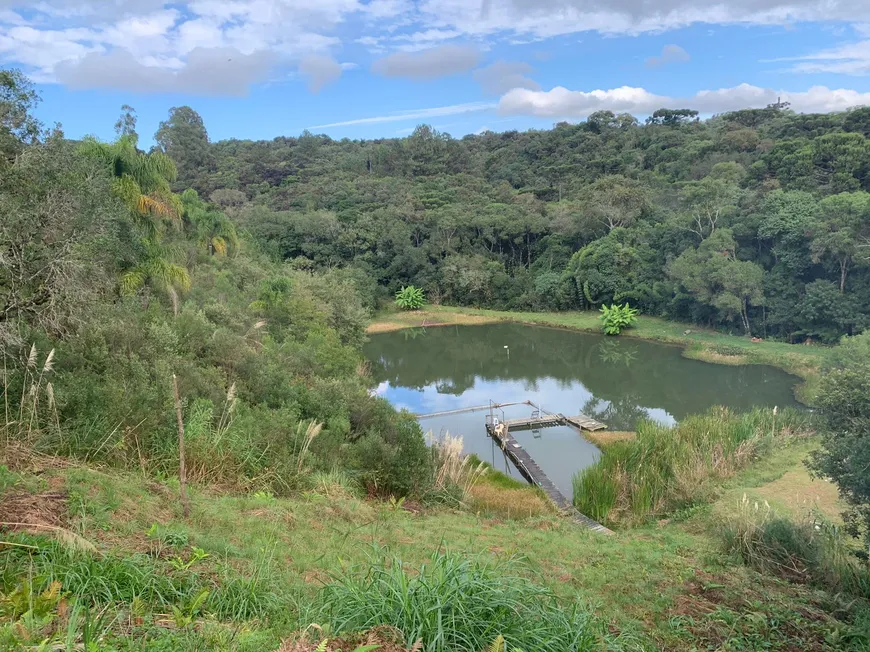 Foto 1 de Fazenda/Sítio com 4 Quartos à venda, 19000m² em Centro, Mandirituba