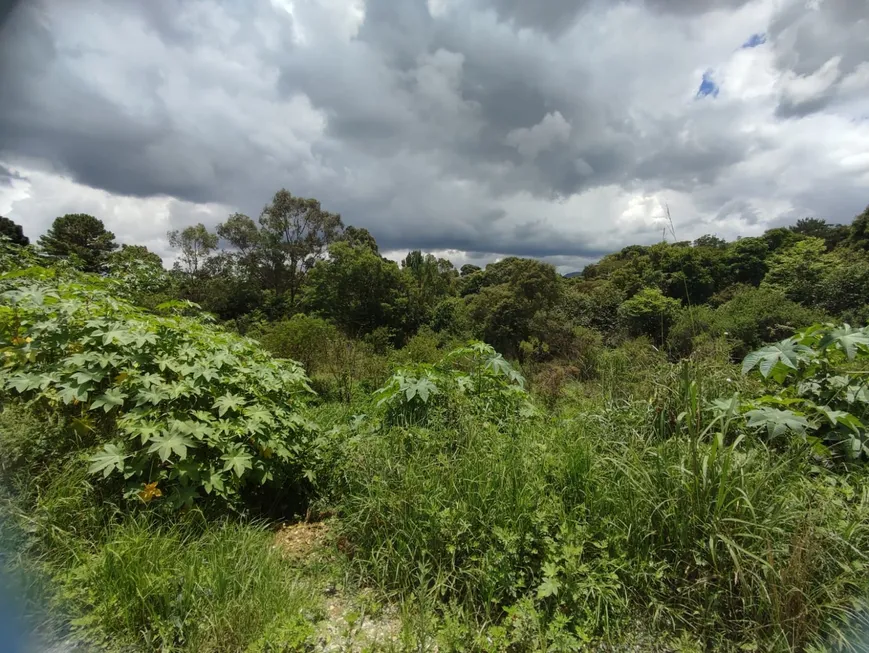 Foto 1 de Lote/Terreno à venda, 2024m² em Vila São Tiago, Piraquara