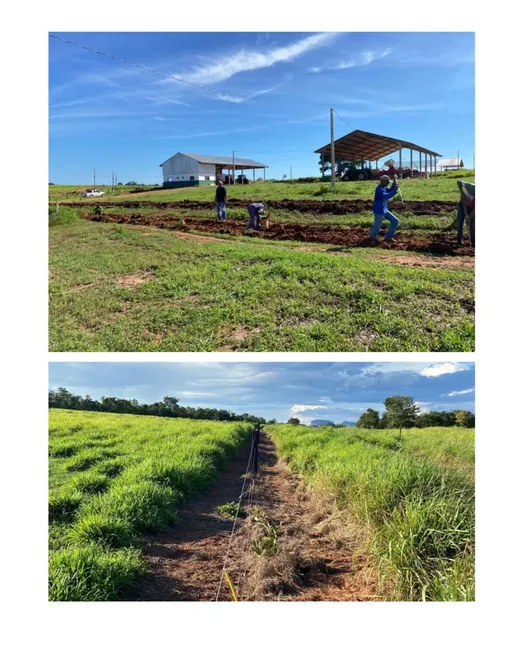 Foto 1 de Fazenda/Sítio com 4 Quartos à venda, 25350000m² em Centro, Guiratinga