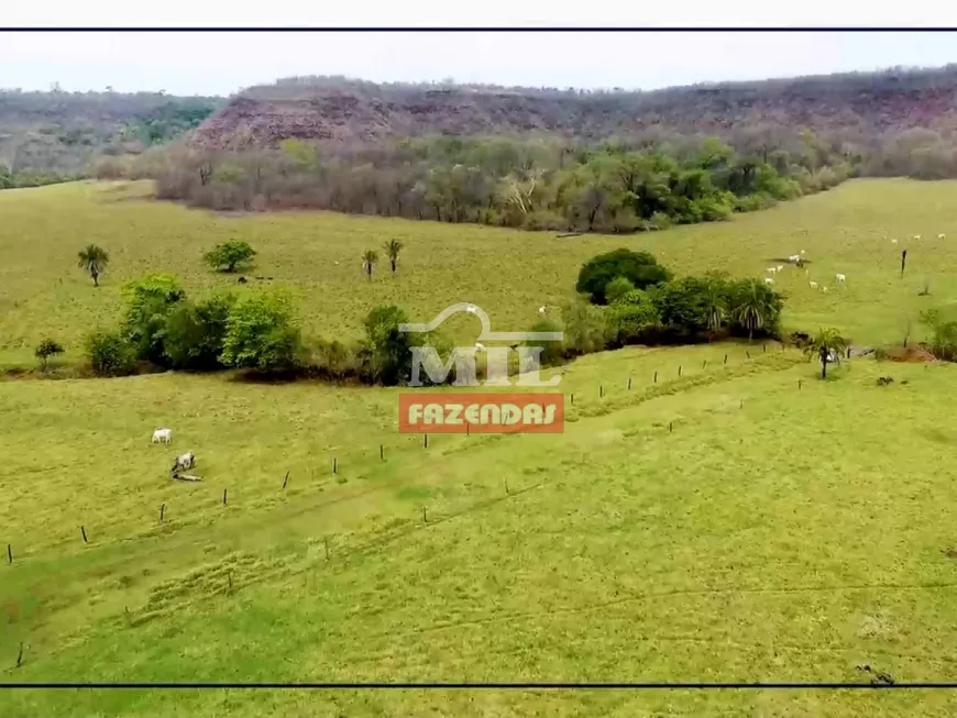 Foto 1 de Fazenda/Sítio à venda em Honoropolis, Campina Verde