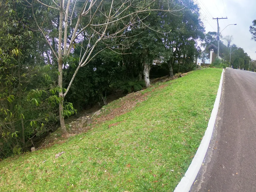 Foto 1 de Lote/Terreno à venda, 1900m² em Floresta, Gramado