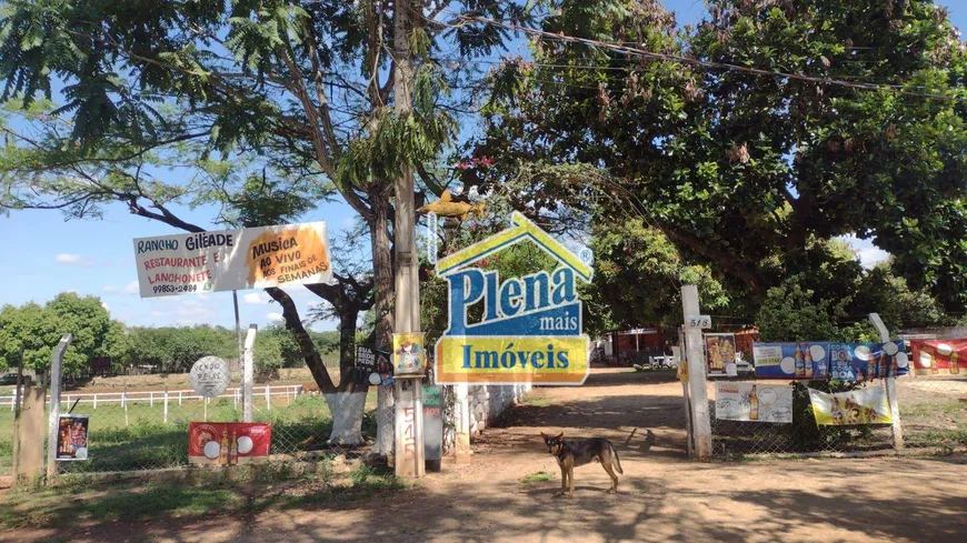 Foto 1 de Fazenda/Sítio com 3 Quartos à venda, 6000m² em , Conchal