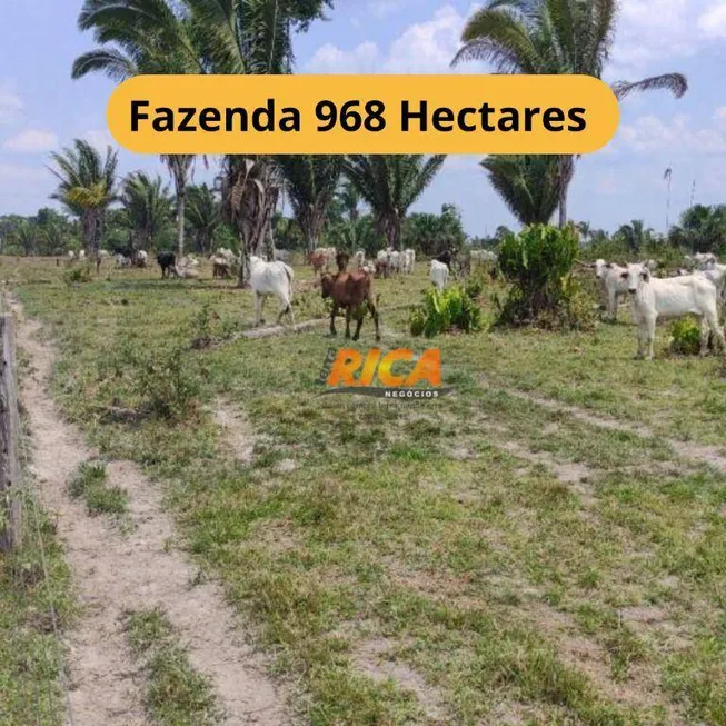 Foto 1 de Fazenda/Sítio à venda, 9680000m² em , Humaitá