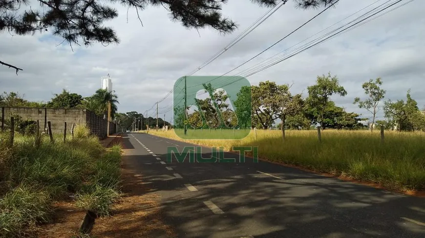 Foto 1 de Lote/Terreno com 1 Quarto à venda, 20000m² em Jardim Holanda, Uberlândia