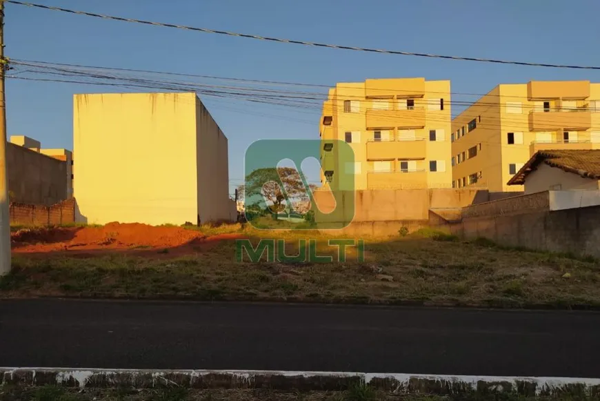 Foto 1 de Lote/Terreno com 1 Quarto à venda, 508m² em Bosque dos Buritis, Uberlândia