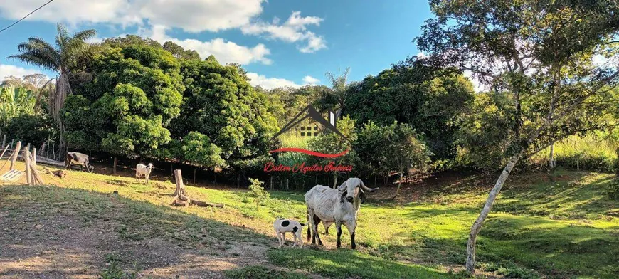 Foto 1 de Fazenda/Sítio com 3 Quartos à venda, 110m² em Senador Mourao, Diamantina