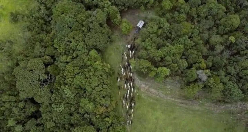 Foto 1 de Fazenda/Sítio à venda em Juliana, Belo Horizonte