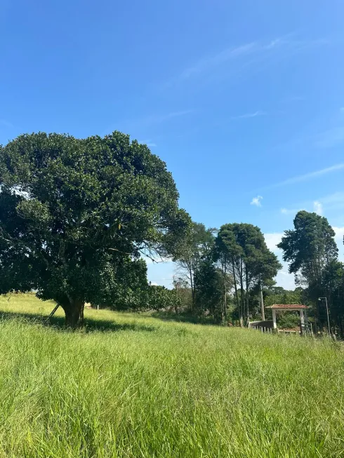 Foto 1 de Lote/Terreno à venda, 500m² em Morro Grande, Ibiúna