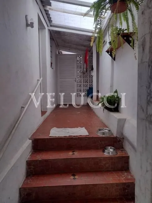 Foto 1 de Casa com 2 Quartos à venda, 65m² em Centro, Campinas