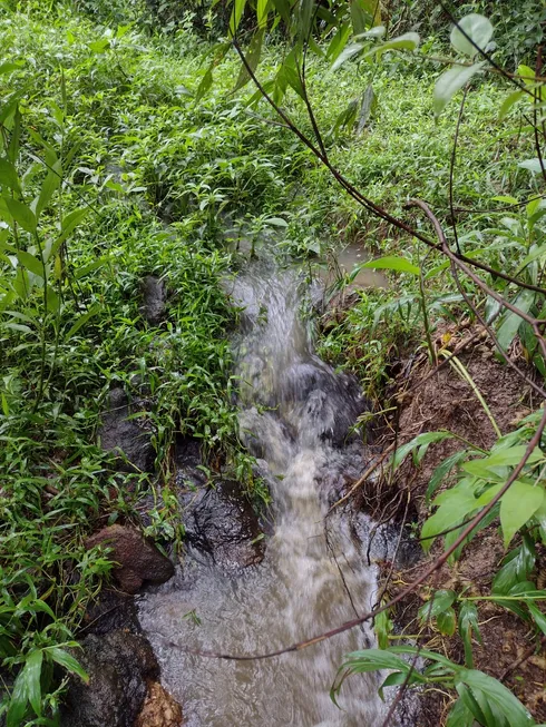 Foto 1 de Fazenda/Sítio à venda, 20000m² em Centro, Fortuna de Minas