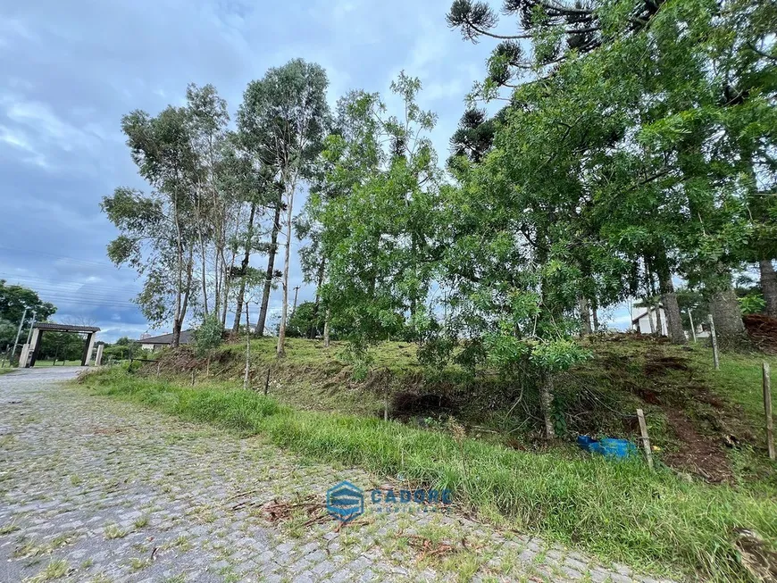 Foto 1 de Lote/Terreno à venda, 450m² em Bela Vista, Caxias do Sul