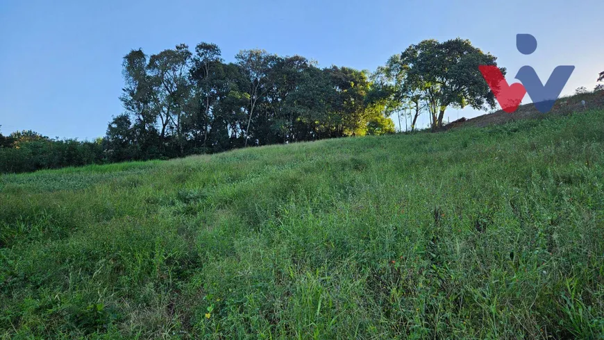 Foto 1 de Fazenda/Sítio à venda, 10500m² em Zona Rural, Araucária