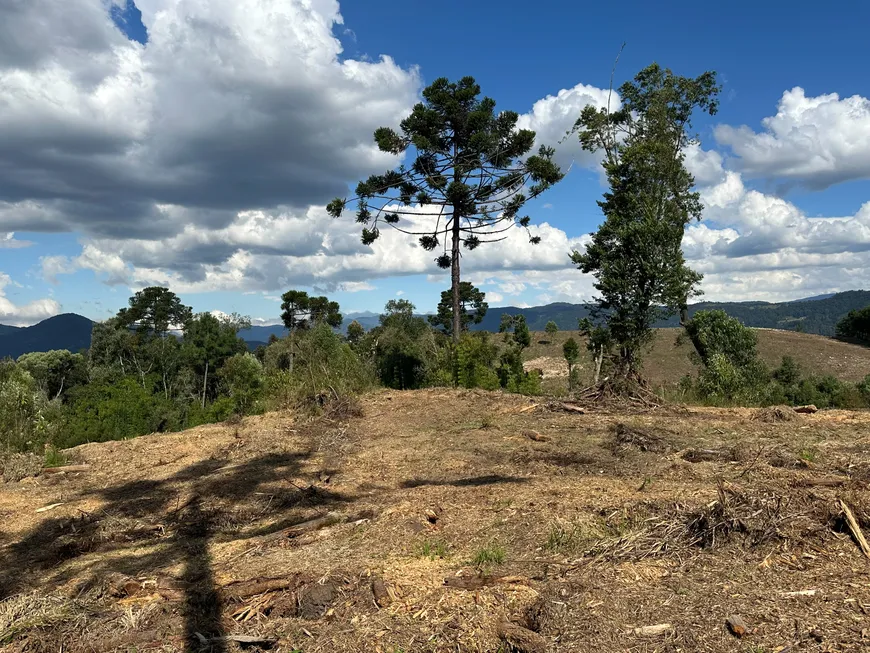 Foto 1 de Fazenda/Sítio à venda, 20000m² em , Urubici