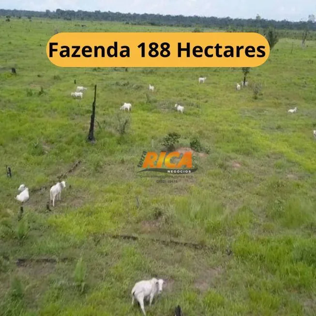 Foto 1 de Fazenda/Sítio à venda, 1880000m² em , Candeias do Jamari