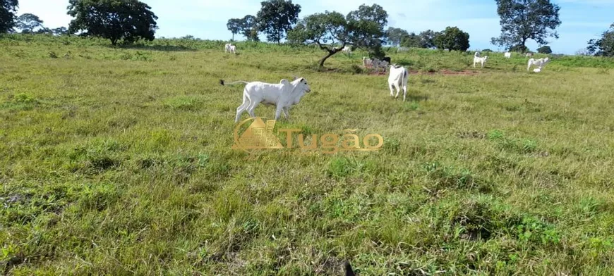 Foto 1 de Fazenda/Sítio à venda, 11400000m² em Zona Rural, Torixoréu