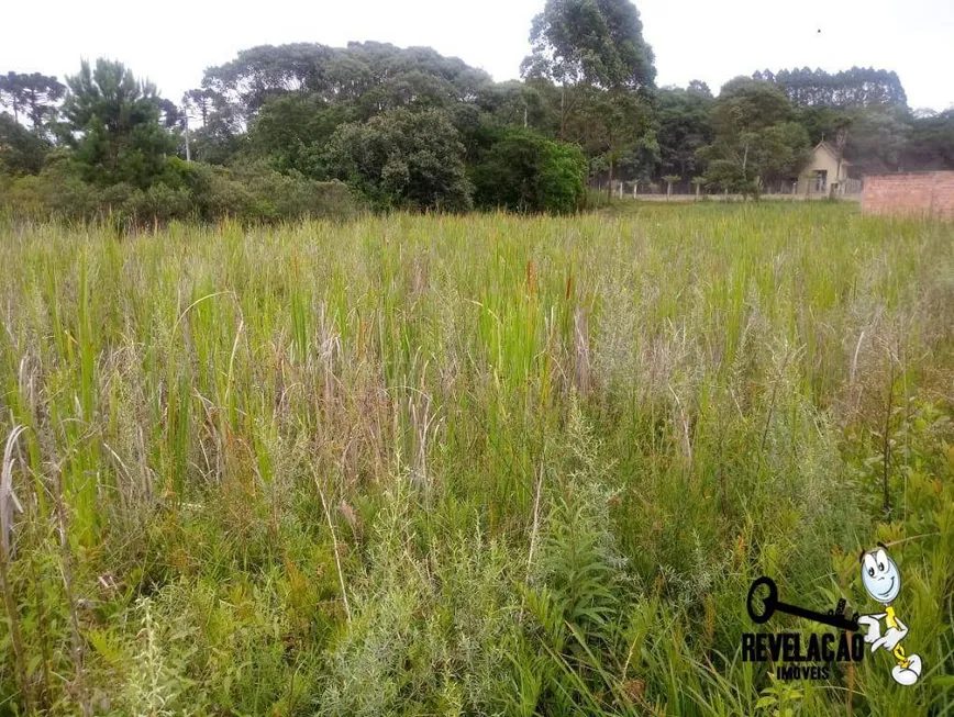 Foto 1 de Lote/Terreno à venda, 5100m² em Costeira, São José dos Pinhais