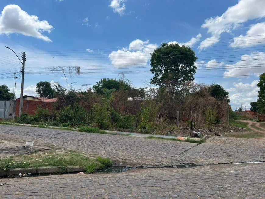 Foto 1 de Lote/Terreno à venda, 300m² em Satélite, Teresina