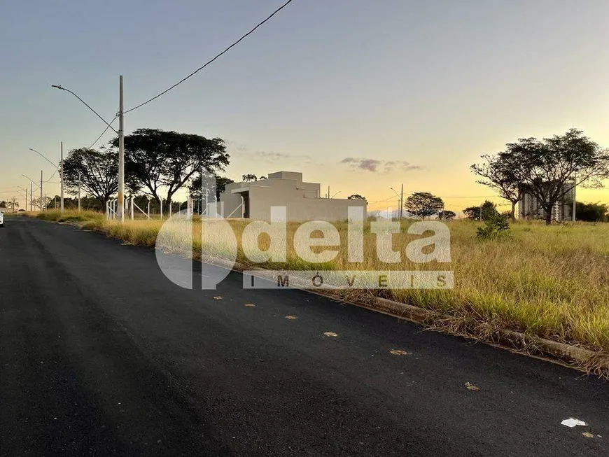 Foto 1 de Lote/Terreno à venda, 250m² em Residencial Fruta do Conde, Uberlândia