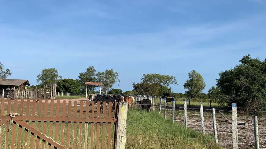 Foto 1 de Fazenda/Sítio à venda, 17m² em João Francisco, Quissamã