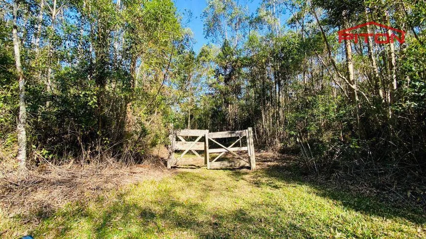 Foto 1 de Fazenda/Sítio com 2 Quartos à venda, 100m² em VILA ELVIO, Piedade