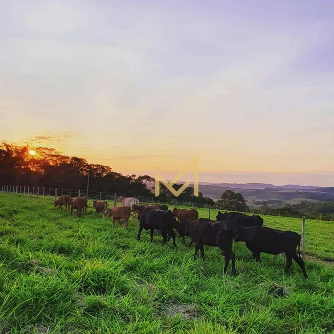 Foto 1 de Fazenda/Sítio com 2 Quartos à venda, 575m² em Rio do Salto, Cascavel