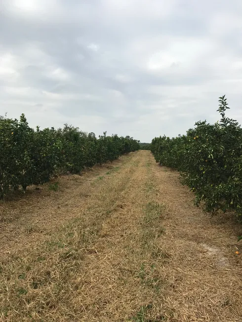 Foto 1 de Fazenda/Sítio com 1 Quarto à venda, 314600m² em Zona Rural, Santa Rosa de Viterbo