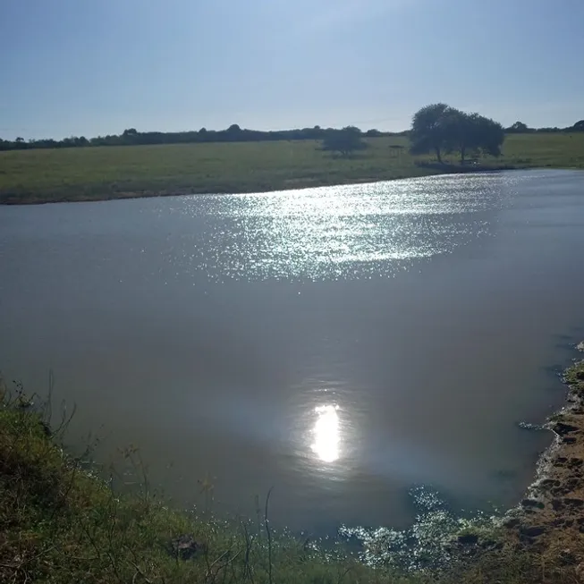 Foto 1 de Fazenda/Sítio com 3 Quartos à venda, 17000m² em Monte Alegre, Monte Alegre