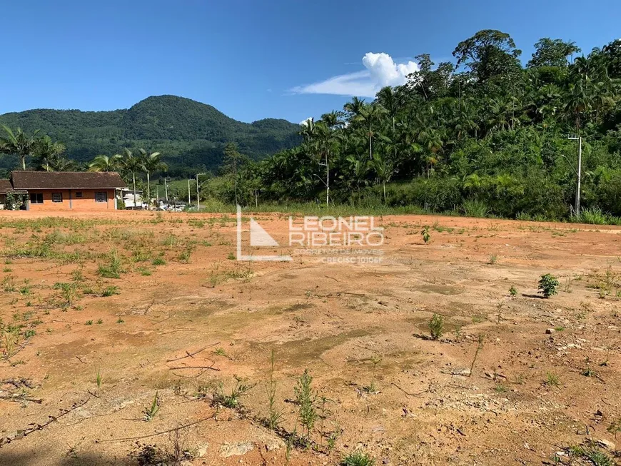 Foto 1 de Lote/Terreno à venda, 1570m² em Rodeio 12, Rodeio