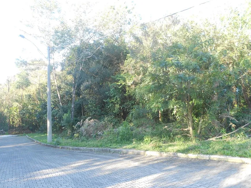 Foto 1 de Lote/Terreno à venda, 500m² em Juriti, Nova Petrópolis