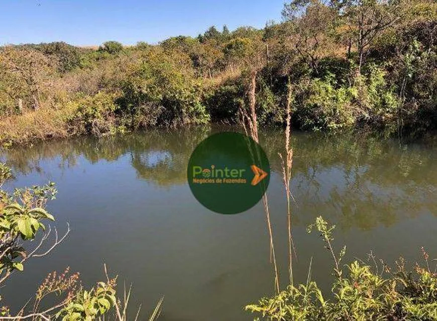 Foto 1 de Fazenda/Sítio com 2 Quartos à venda, 145200m² em Zona Rural, Anápolis