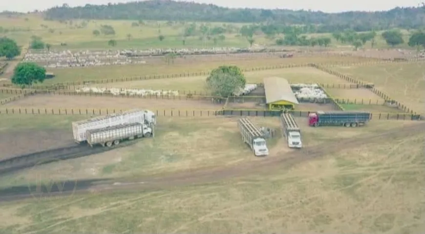 Foto 1 de Fazenda/Sítio à venda, 900m² em Centro, Cezarina