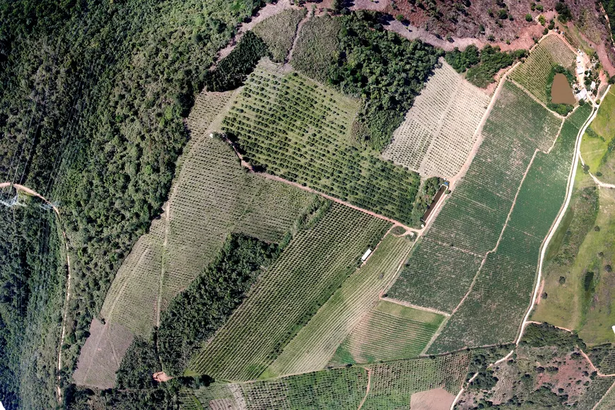 Foto 1 de Fazenda/Sítio à venda, 550000m² em Centro, Cerro Azul