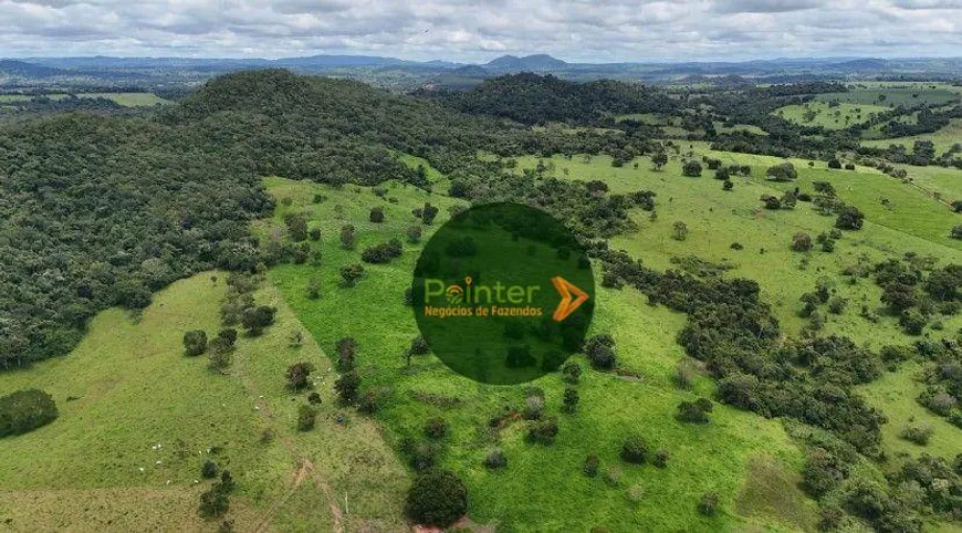 Foto 1 de Fazenda/Sítio à venda, 217800m² em Zona Rural, Petrolina de Goiás