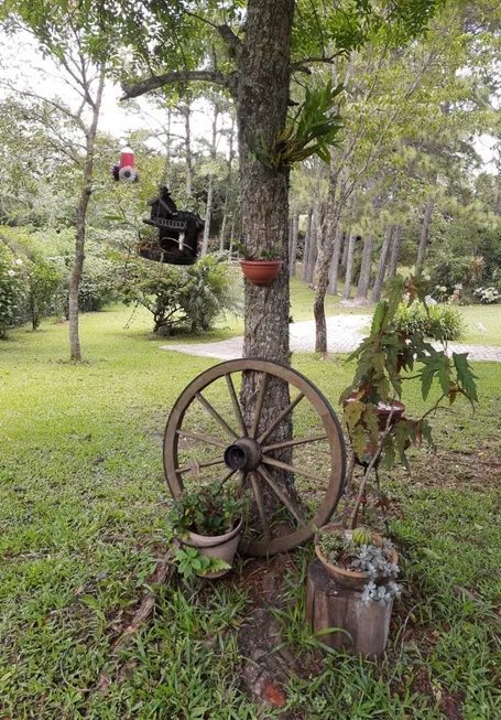 Foto 1 de Fazenda/Sítio com 3 Quartos à venda, 100m² em Cascata, Pelotas