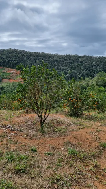 Foto 1 de Fazenda/Sítio à venda, 56000m² em Soido, Domingos Martins