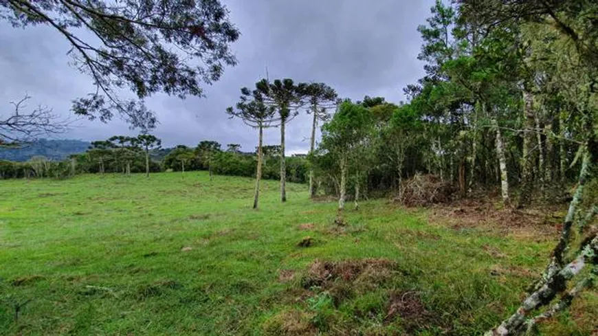 Foto 1 de Fazenda/Sítio com 1 Quarto à venda, 20000m² em , Urubici