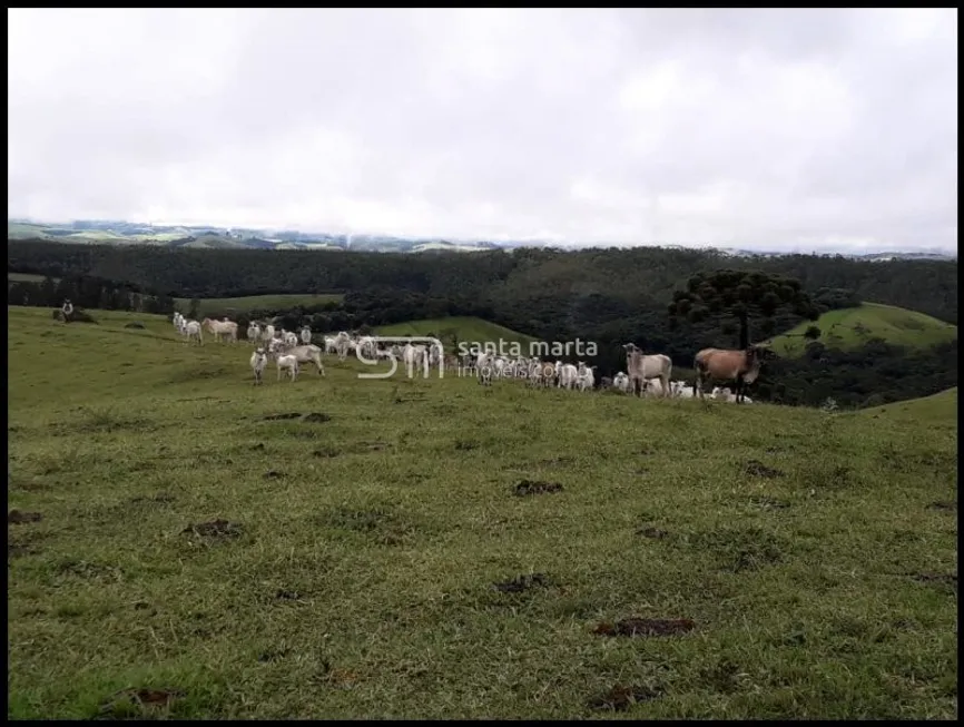 Foto 1 de Fazenda/Sítio com 3 Quartos à venda, 24m² em Area Rural de Guaratingueta, Guaratinguetá