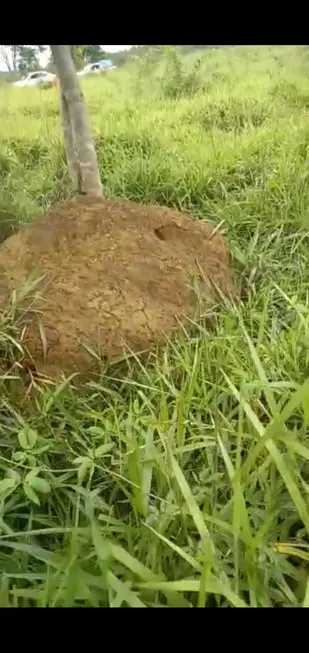 Foto 1 de Fazenda/Sítio à venda em Setor Central, Itapuranga