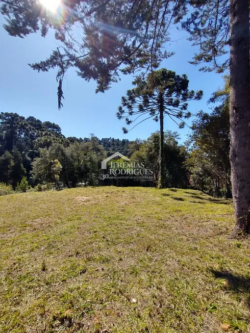 Foto 1 de Lote/Terreno à venda, 1000m² em , Campos do Jordão