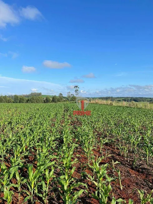 Foto 1 de Fazenda/Sítio à venda, 1694000m² em Zona Rural, Sertaneja