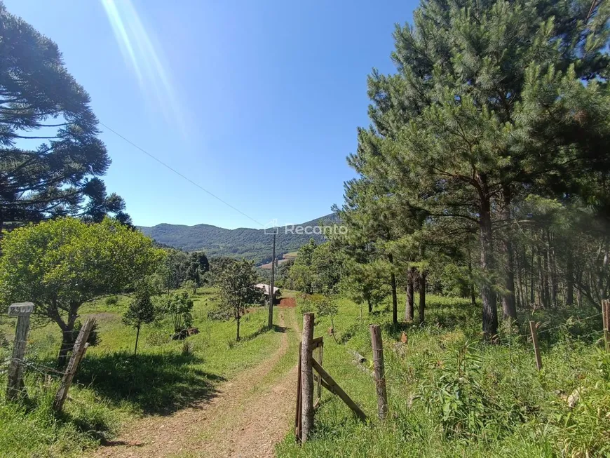 Foto 1 de Fazenda/Sítio à venda, 74174m² em Linha Sao Paulo, Canela