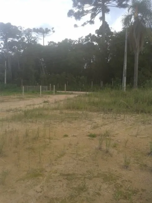 Foto 1 de Fazenda/Sítio com 1 Quarto à venda, 3500m² em Campo Largo da Roseira, São José dos Pinhais