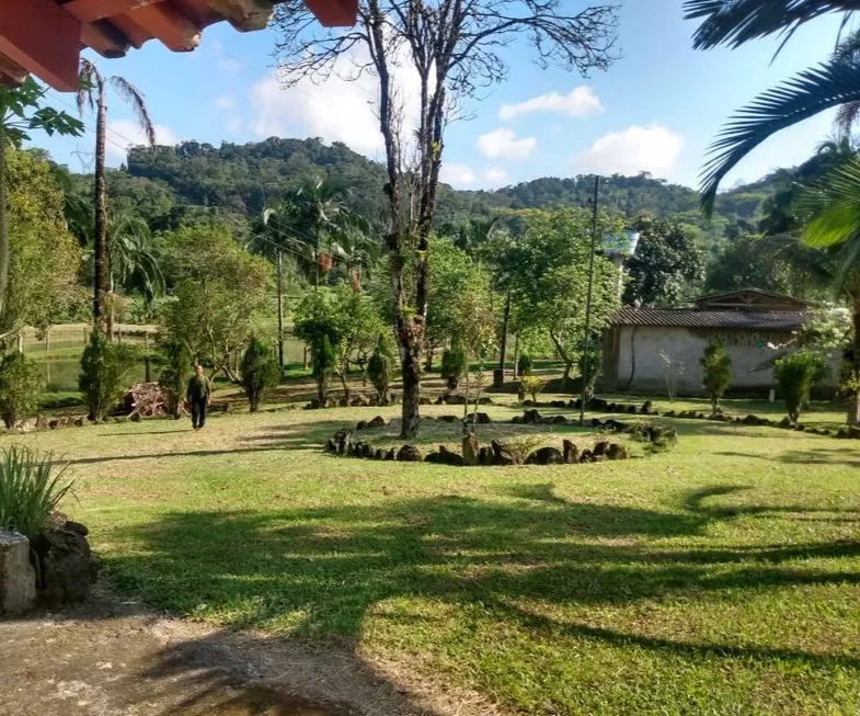 Foto 1 de Fazenda/Sítio com 3 Quartos à venda, 360m² em Centro, Juquiá