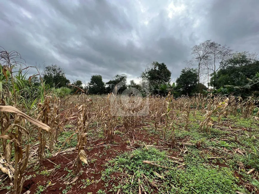 Foto 1 de Lote/Terreno à venda, 1500m² em Sao Roque, Foz do Iguaçu