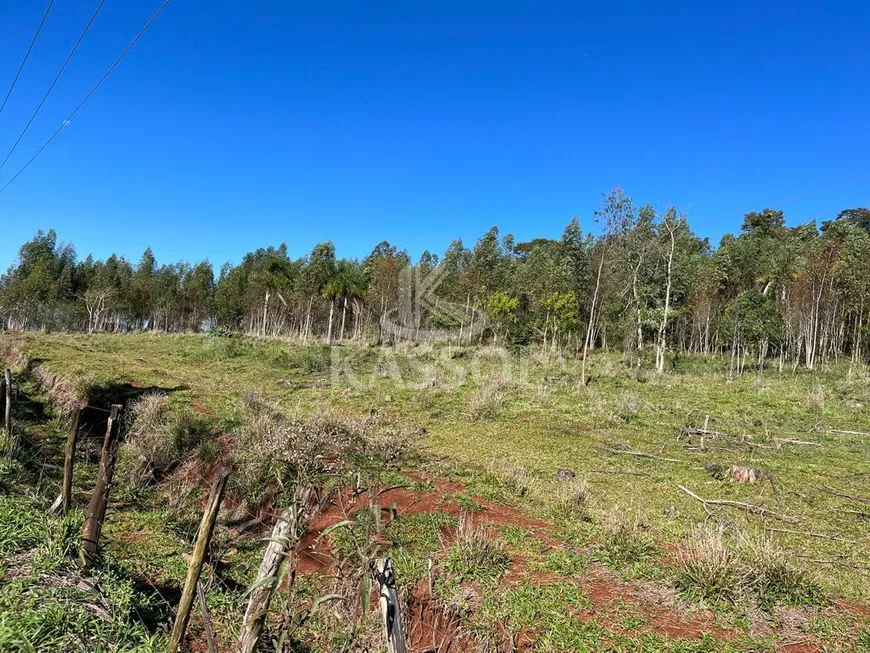 Foto 1 de Fazenda/Sítio à venda, 20000m² em São Salvador, Cascavel