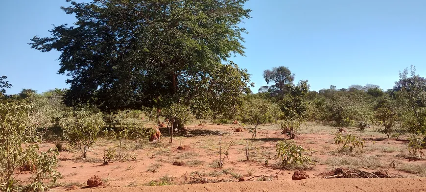 Foto 1 de Lote/Terreno à venda, 20000m² em Zona Rural, Jequitibá